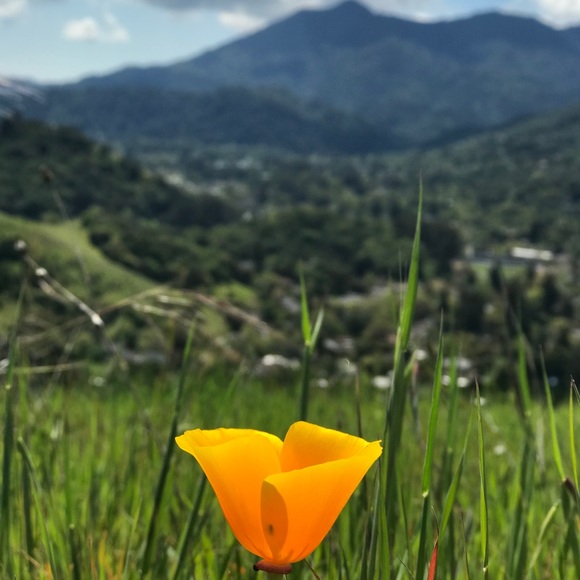 Meet your Posher, Samantha - Picture 4 of 10